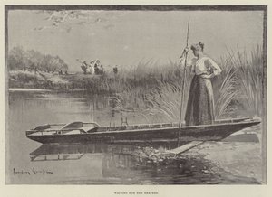 Wachten op de maaiers